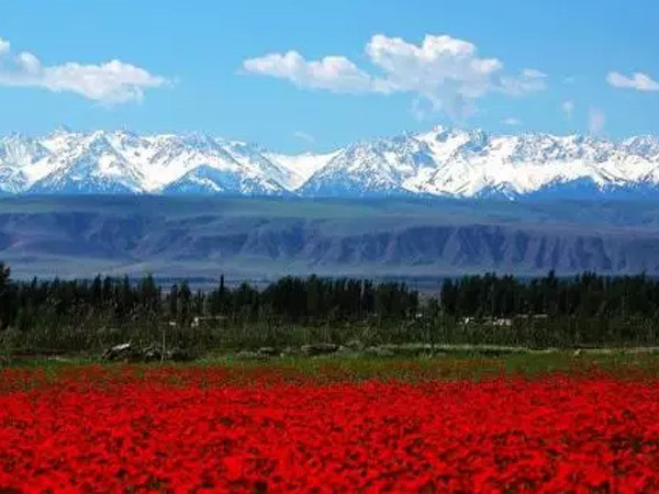 公司工會(huì)領(lǐng)導(dǎo)慰問困難職工