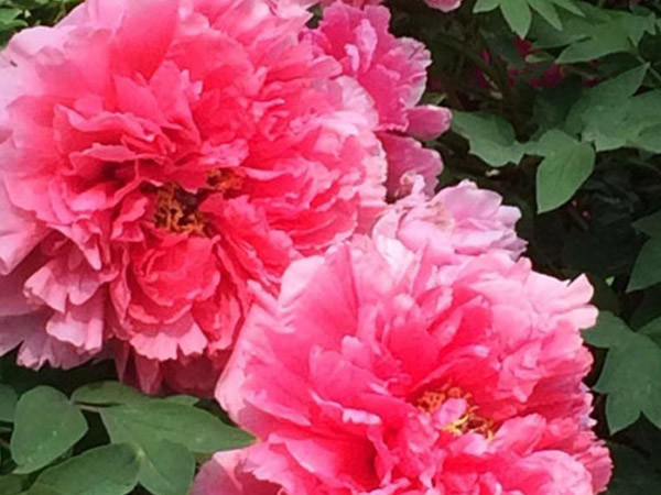 中集凌宇第七屆職工攝影比賽圓滿結束