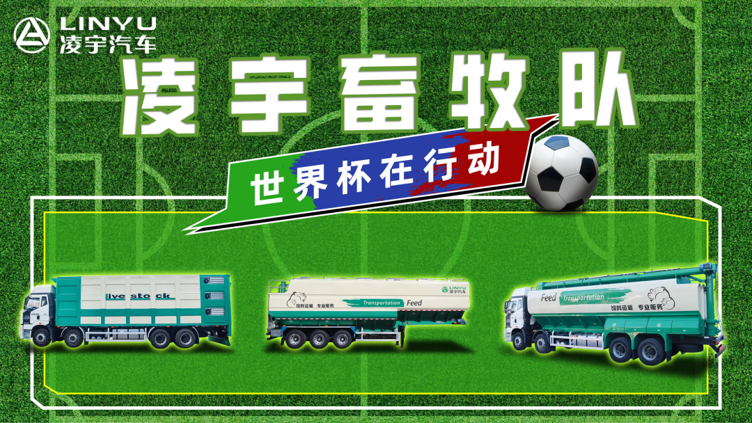 奪冠世界杯！你注意到這支球隊(duì)了嗎？